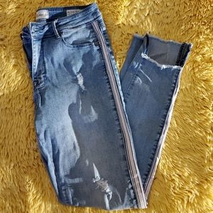 Lola Jeans Alexa High-rise Skinny Jean Size 6